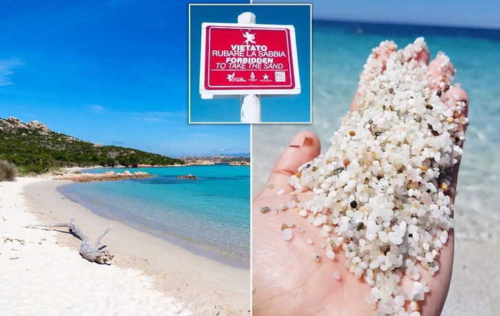 994A644A5F585BF034FC8B