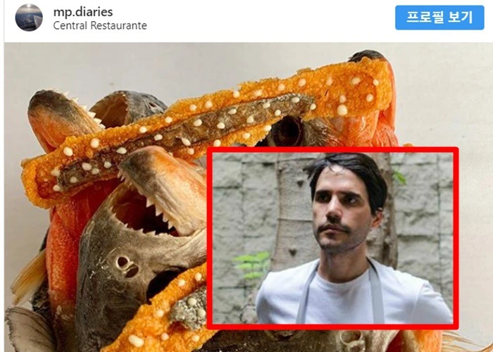 99A08F405CD8FEAF19CE03