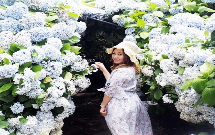 99FC96356004DEA3077CBB