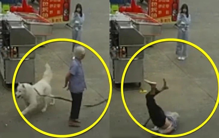 9946774B5F3FC0950FFFB6