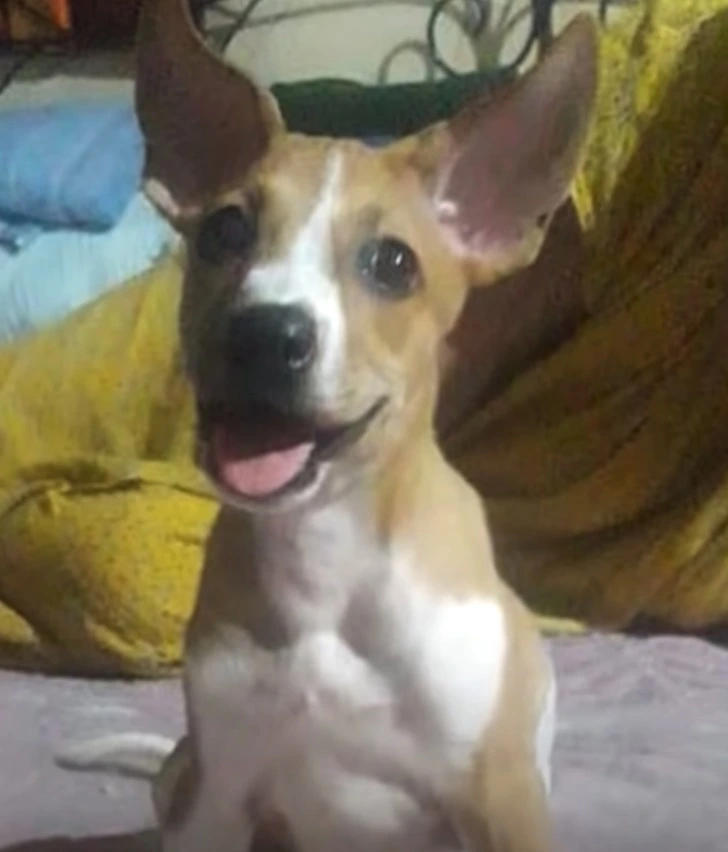 99826B475FFA56270986BA