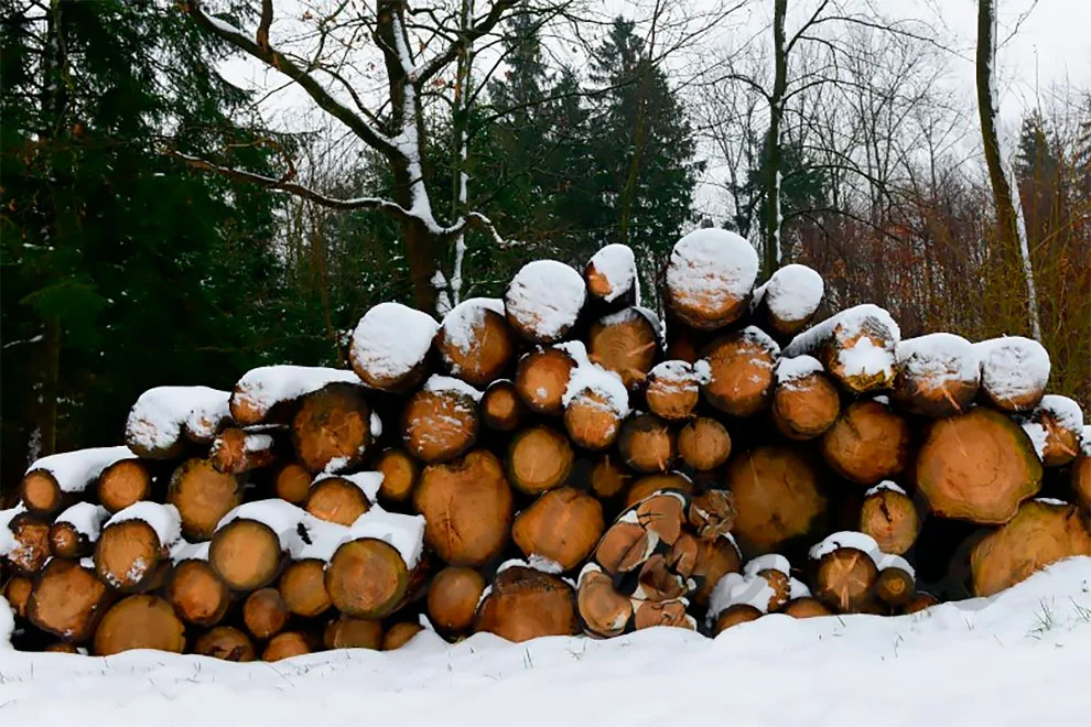 991784435F51CF040D6FBC