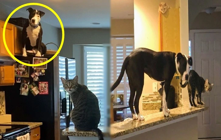 9939B9455F33278B10D698