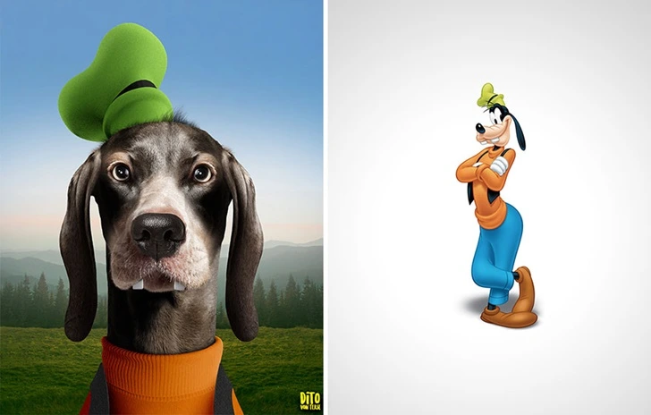 997DA53A5FC0B0862E436B