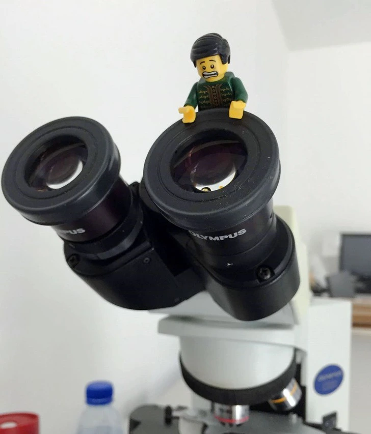 99125E3D5F2FCDE223B7FD