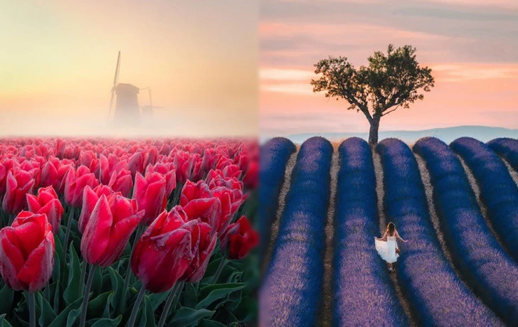 995ABF4F5F2557A226FF60