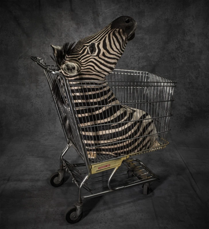 991FD44F5FCAE83F0E5018