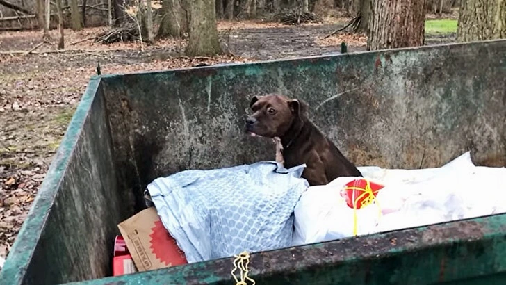 9901913B600143DE0EACB0