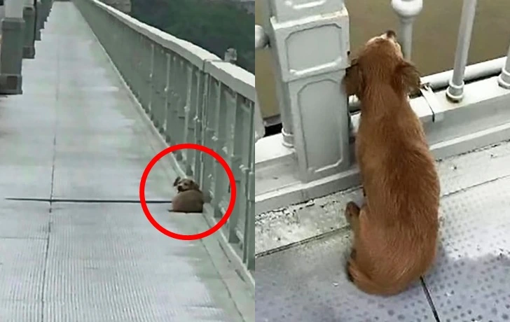 9966504A5F841723173556