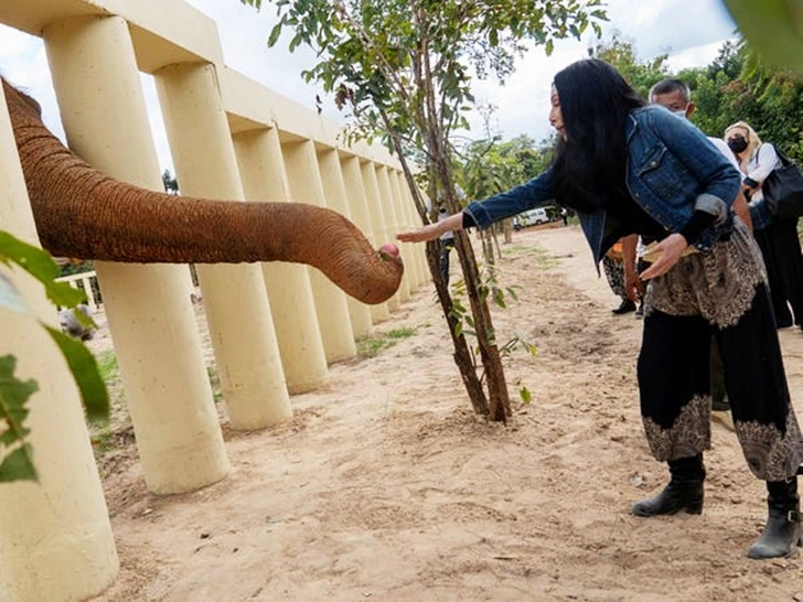 9997423B5FF39BE3044D7E