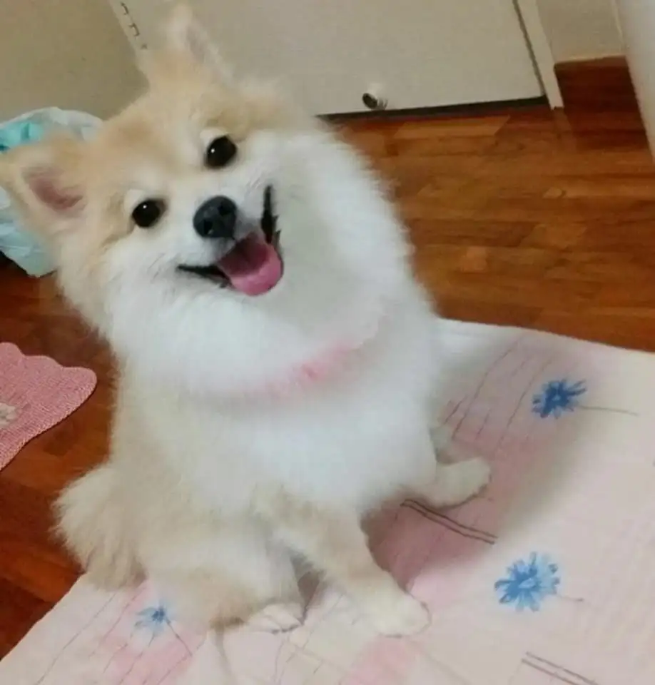 99BC57395FFD3A1611BF6E