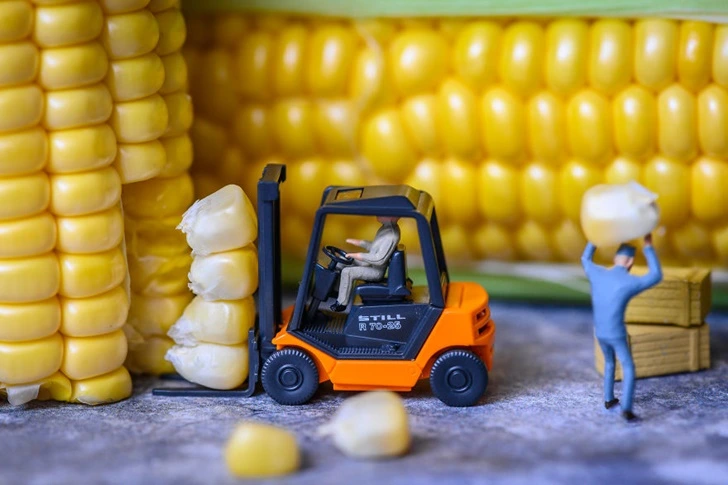 992575335F6565CC1ECD16