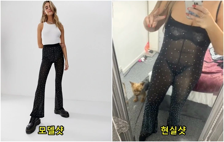 993EE63E5FC81E7A054353