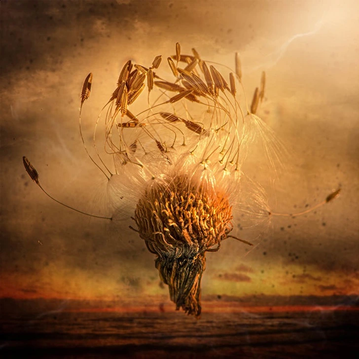 998B24425F3B9E13032CE4