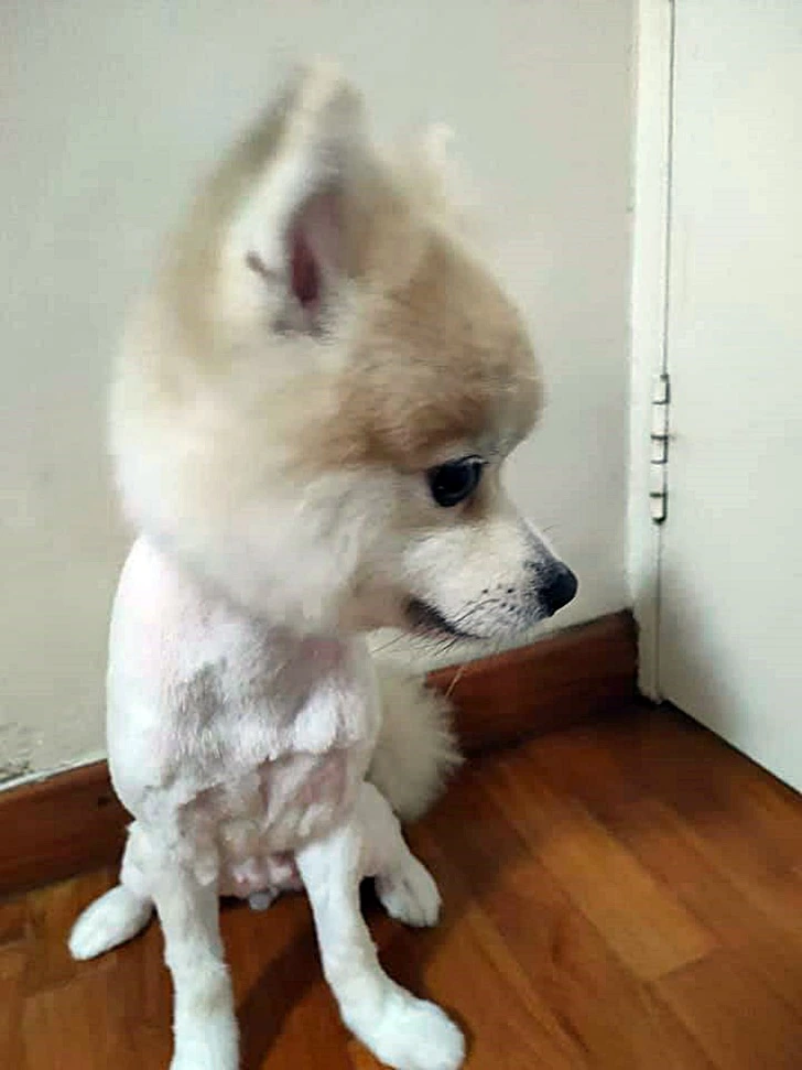 999FC14A5FFD3A161279E1