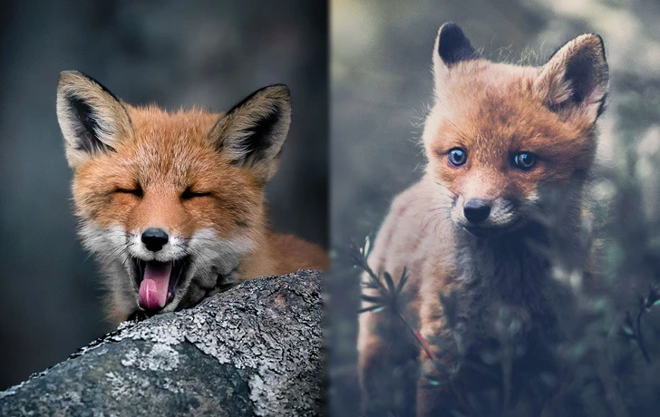 9988EA355F49A30F138109