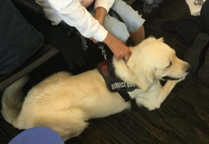 9903393C5FF7E0420A32E4