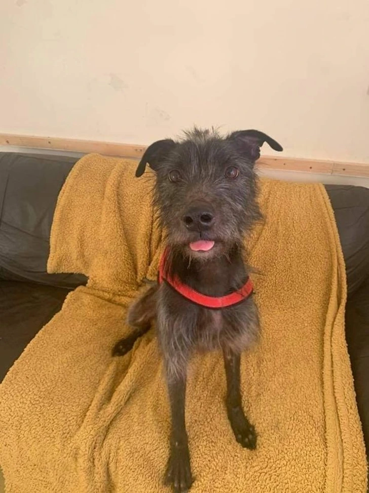 99820948600F9AF60E1AFF