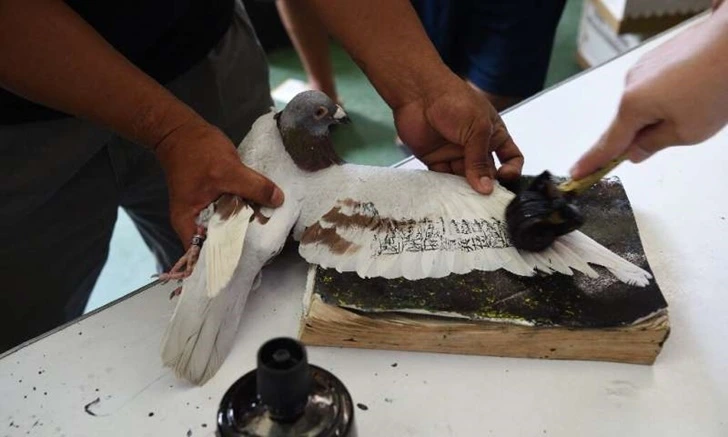 99C54A4B5FD8007B08B79E