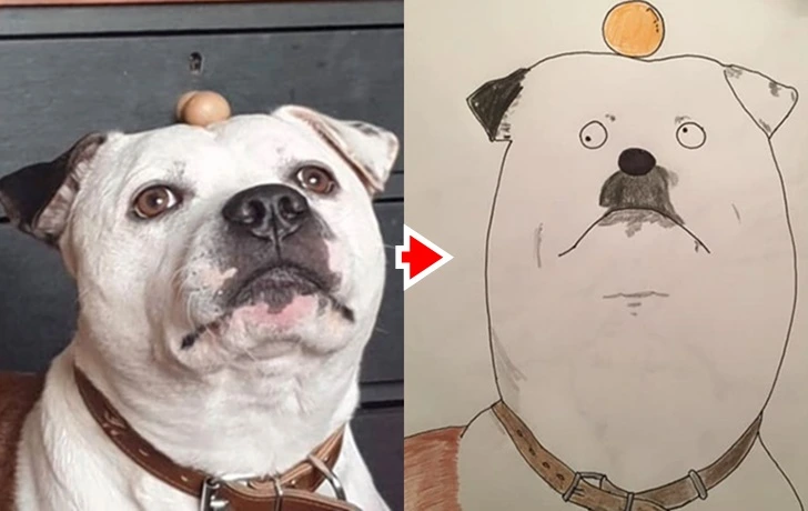 99C284475F640FA2209A38