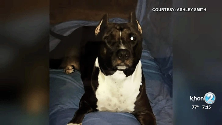 99CD01496007C137156682