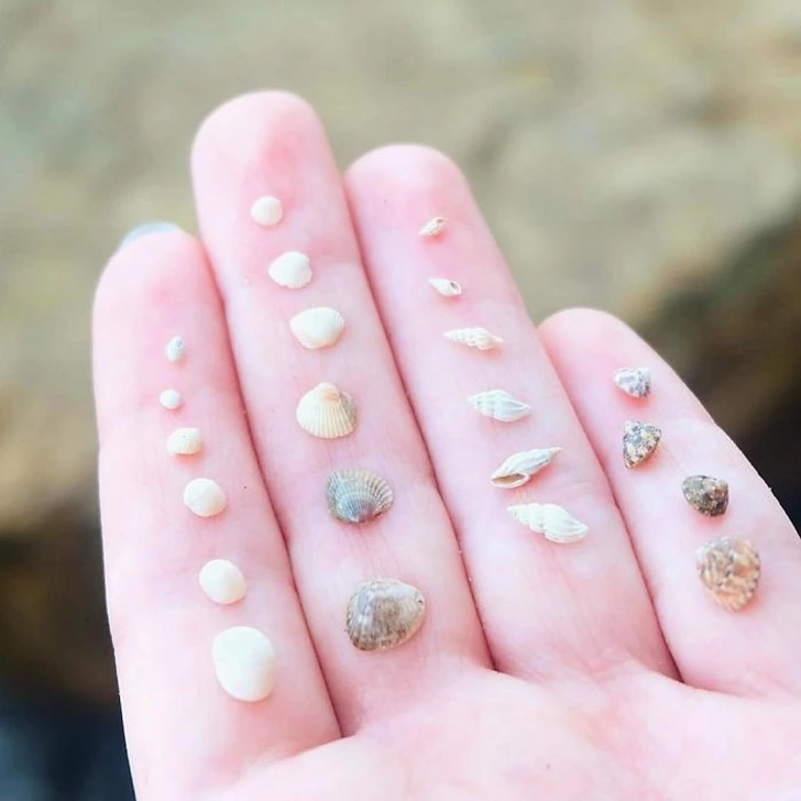 99A3D94F5F59525B0AAD7A