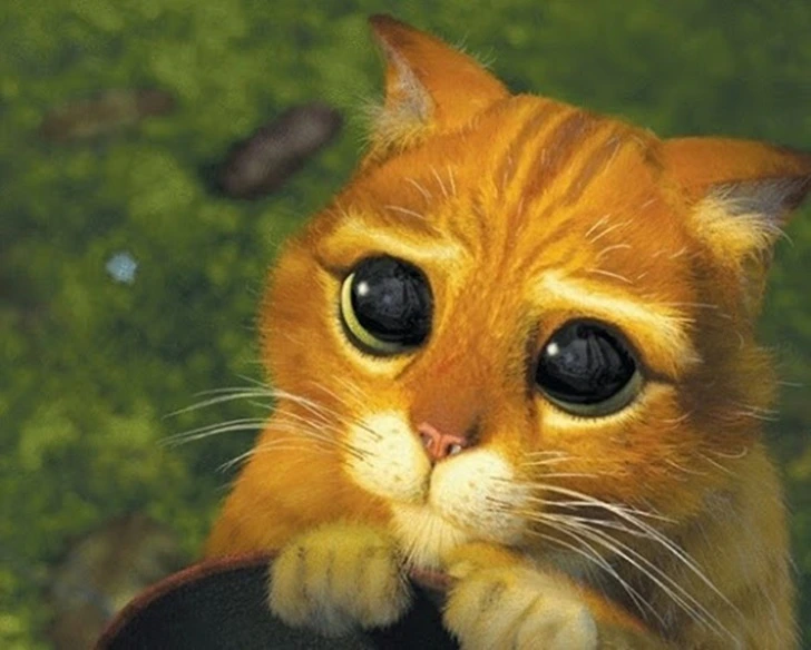 99D1EB3B5FBD129811D8FA