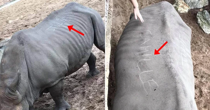 99C02D355D6E110402E8AF