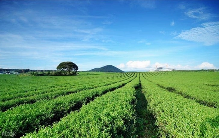 9987633D6004DEA3068CBC