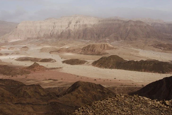 991DCC4F5C7E74E72631A8