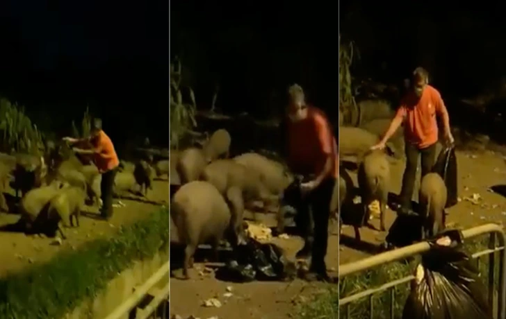 992479385F6BF13C16511B