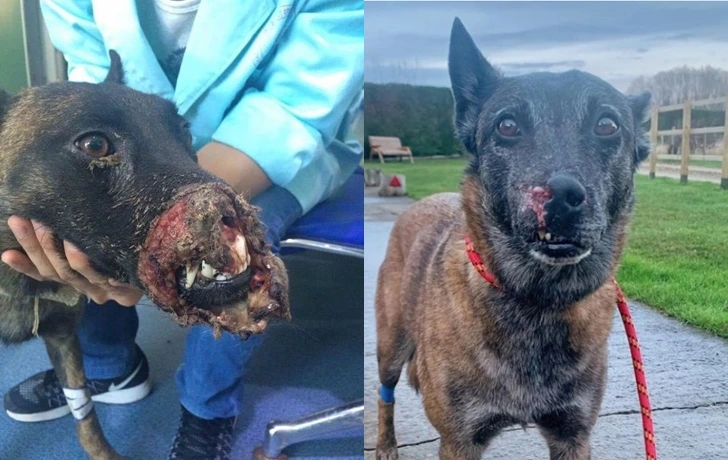 996E4D476012134A0C0471