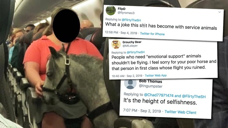 995017355D777FC918618B