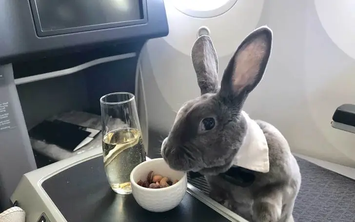 9976744F5E23DF7509E95F