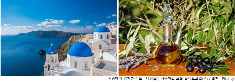 지중해식 다이어트.PNG