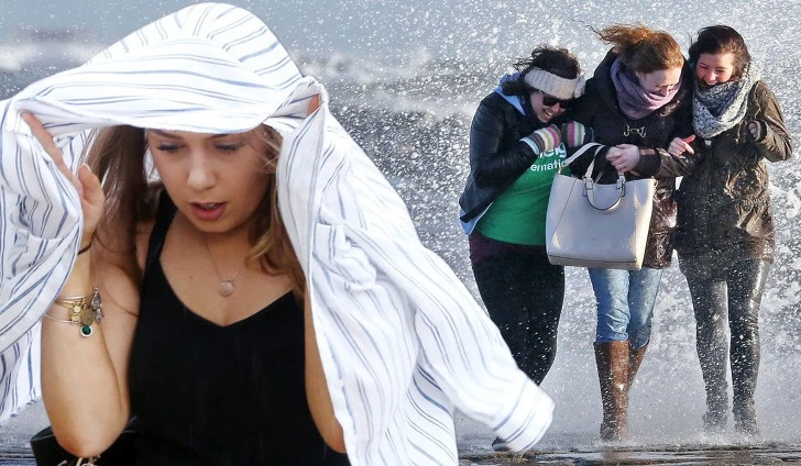 99F9384B5F17778E139A4A