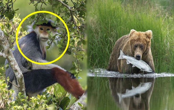 99B67C495F533312044446