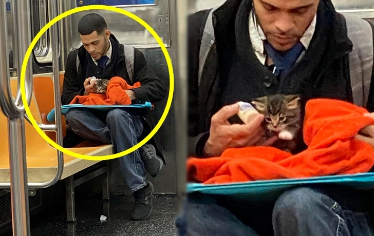 9966754D5FB1F3A61CB915