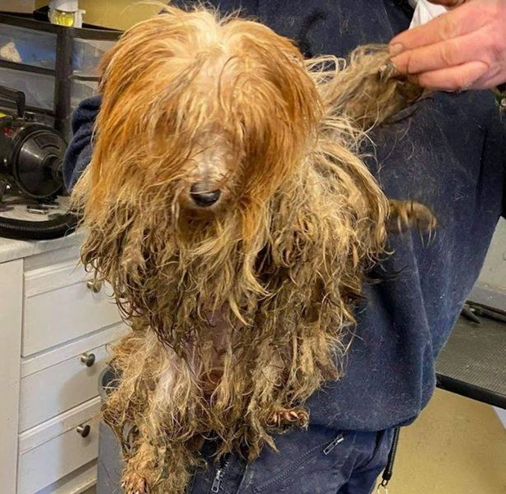 99BEBD3B6010CAF60B20ED