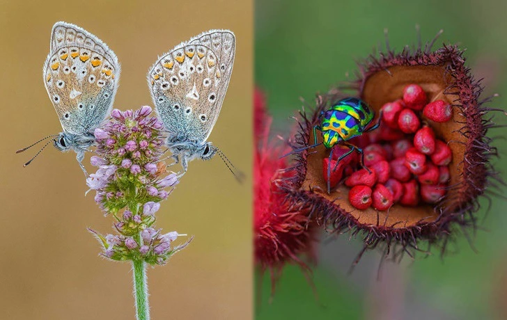 990551495F3B9FC50D7AED