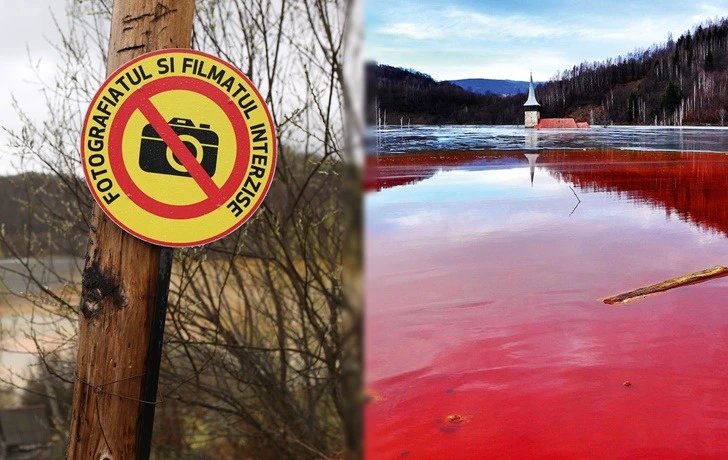 9955D23C5F1FDD2238CB7E