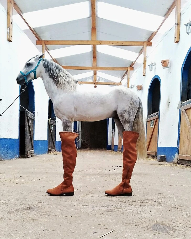 991408386014A249073645