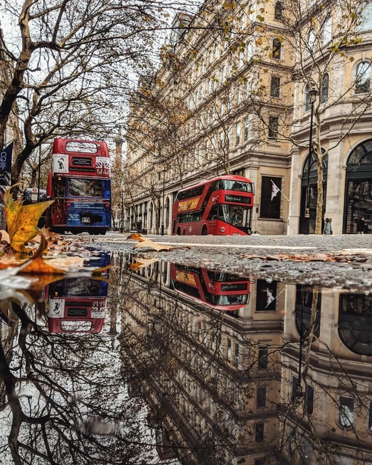 995EB0345FE82B2117AD7B