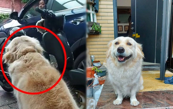 993DC3485F72AD4D24054E