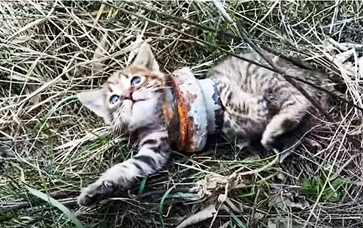 993A7B375FDA82E90811F1