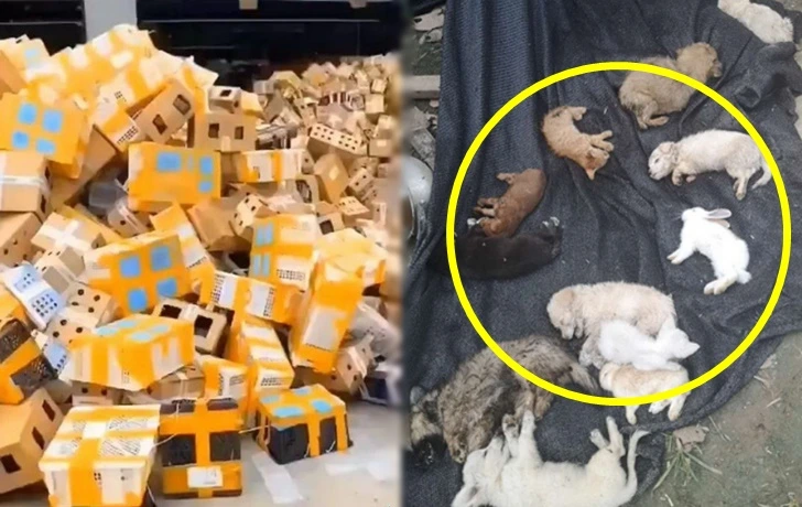 994713365F76969B1246CE