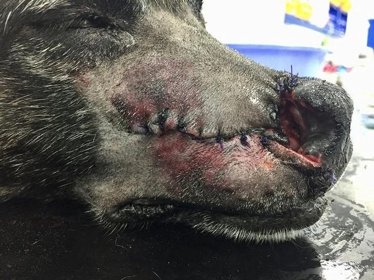 9951BE38601213E10CF3A3