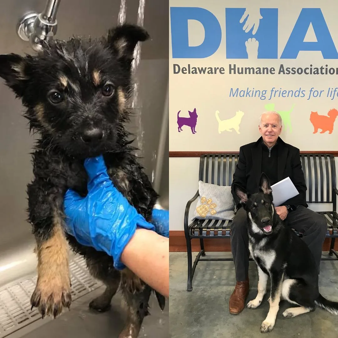 99DB9733600BC217115199