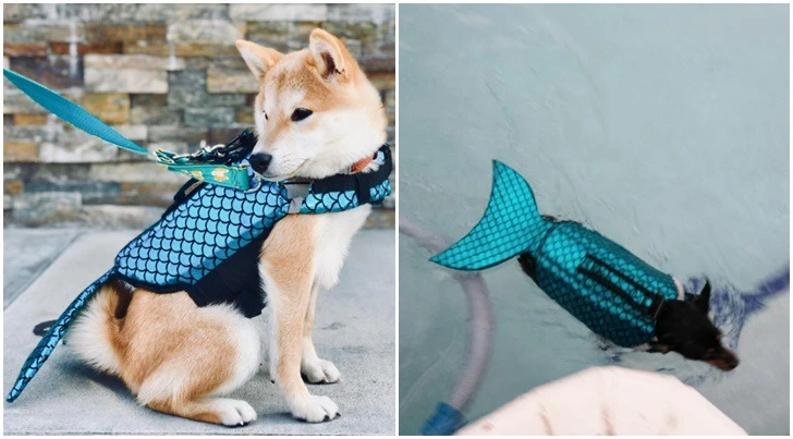 992B2C3C5D0996010CBA20