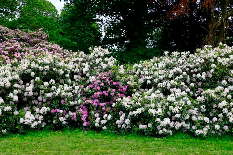 9934B1385F51CF0411803A